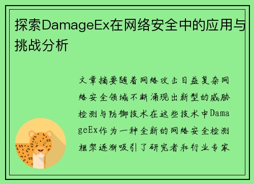 探索DamageEx在网络安全中的应用与挑战分析
